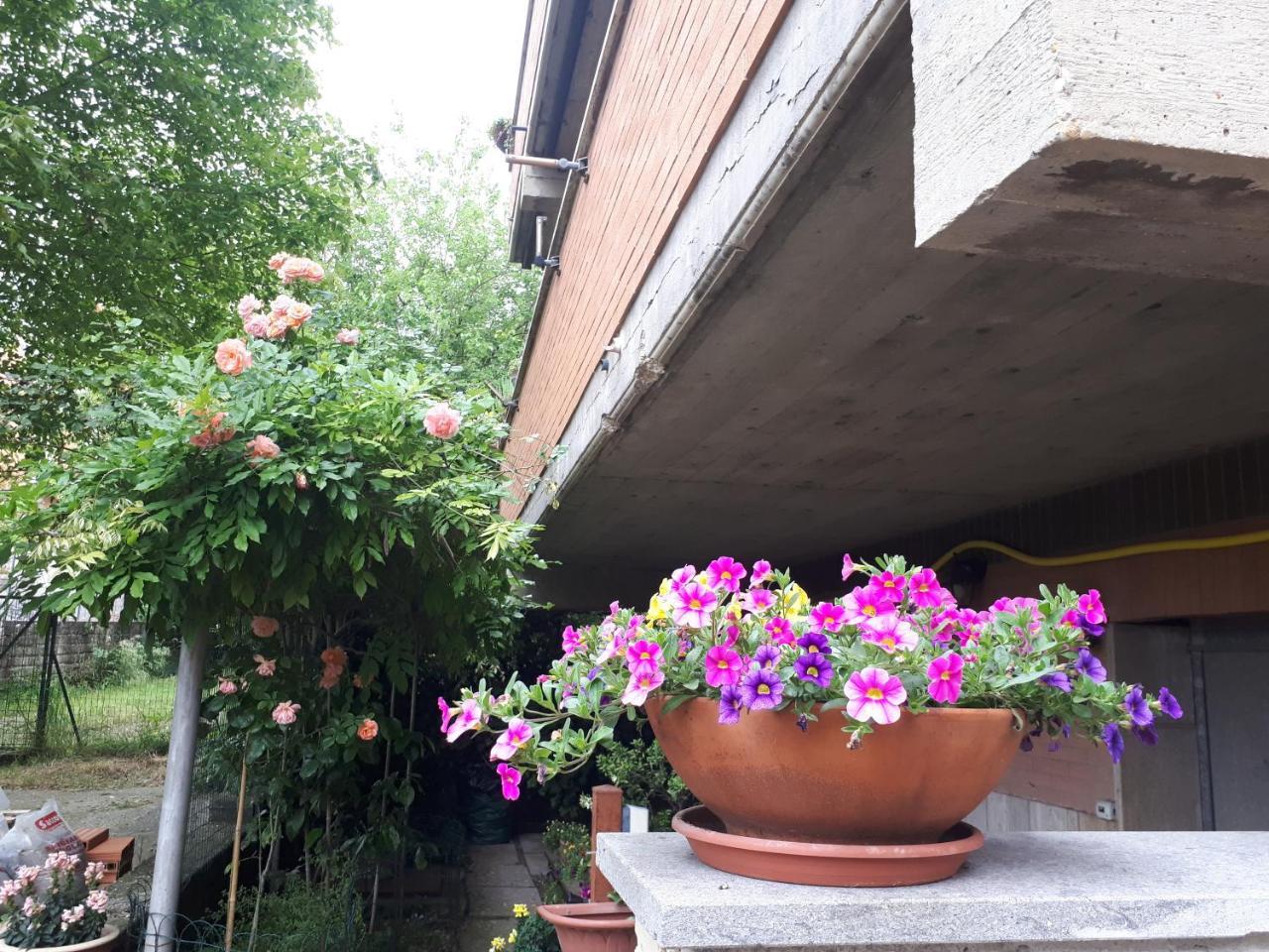 B&B Papa Leone Countryrooms Roma Ngoại thất bức ảnh